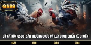 Đá Gà Đòn QS88 Săn Thưởng Cược Và Lựa Chọn Chiến Kê Chuẩn